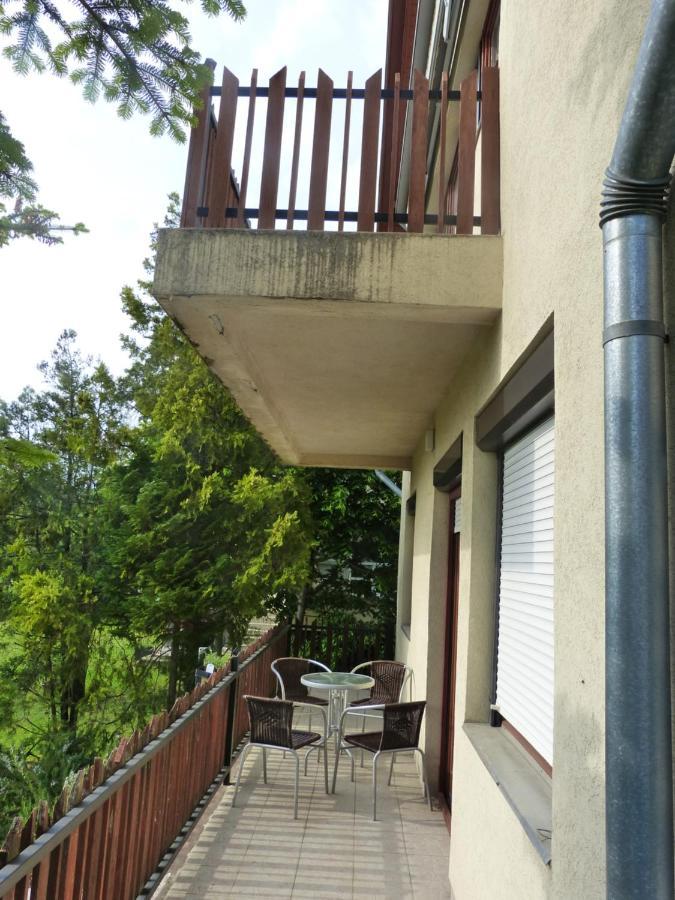 Vila House Elisabeth Balaton Vonyarcvashegy Exteriér fotografie